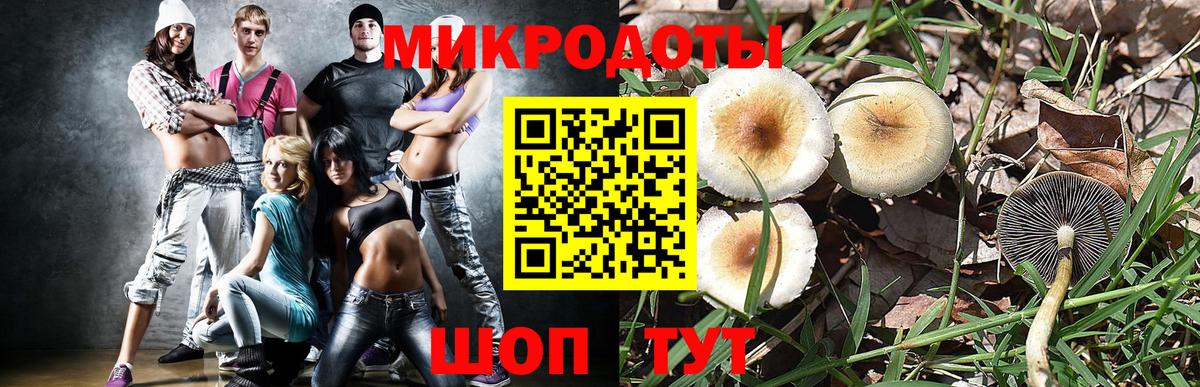 Псилоцибиновые грибы Psilocybine cubensis Мариинск