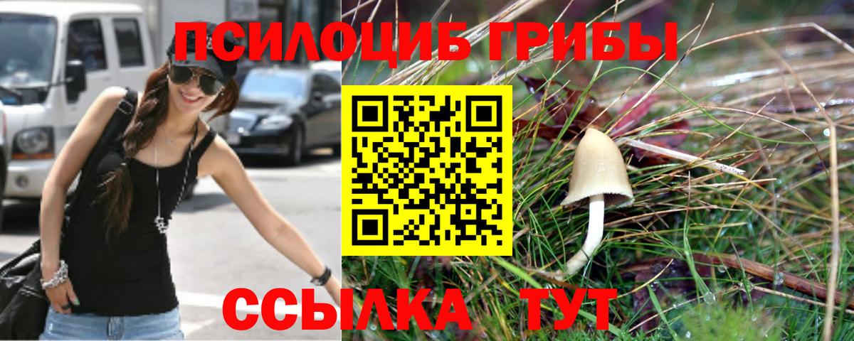 Галлюциногенные грибы мухоморы  Вход с VPN  где купить   Мариинск  Псилоцибиновые грибы мухоморы 